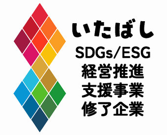 いたばしSDGs/ESG　経営推進支援事業